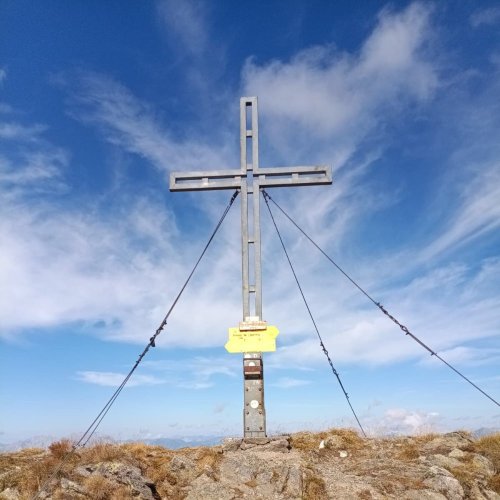 Bild zum Weblog Mountain Movers