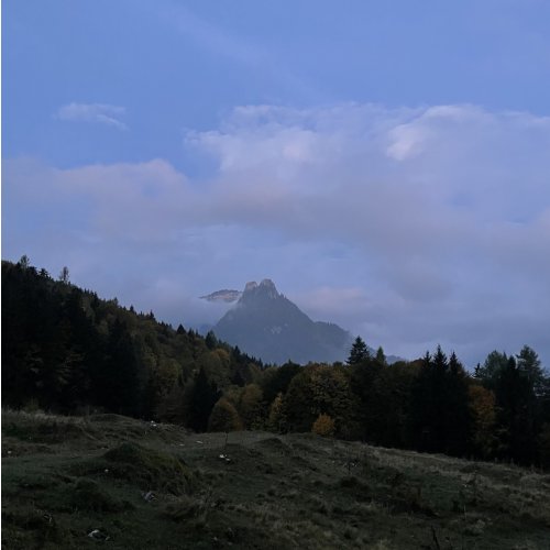 Bild 5 zum Block 6440